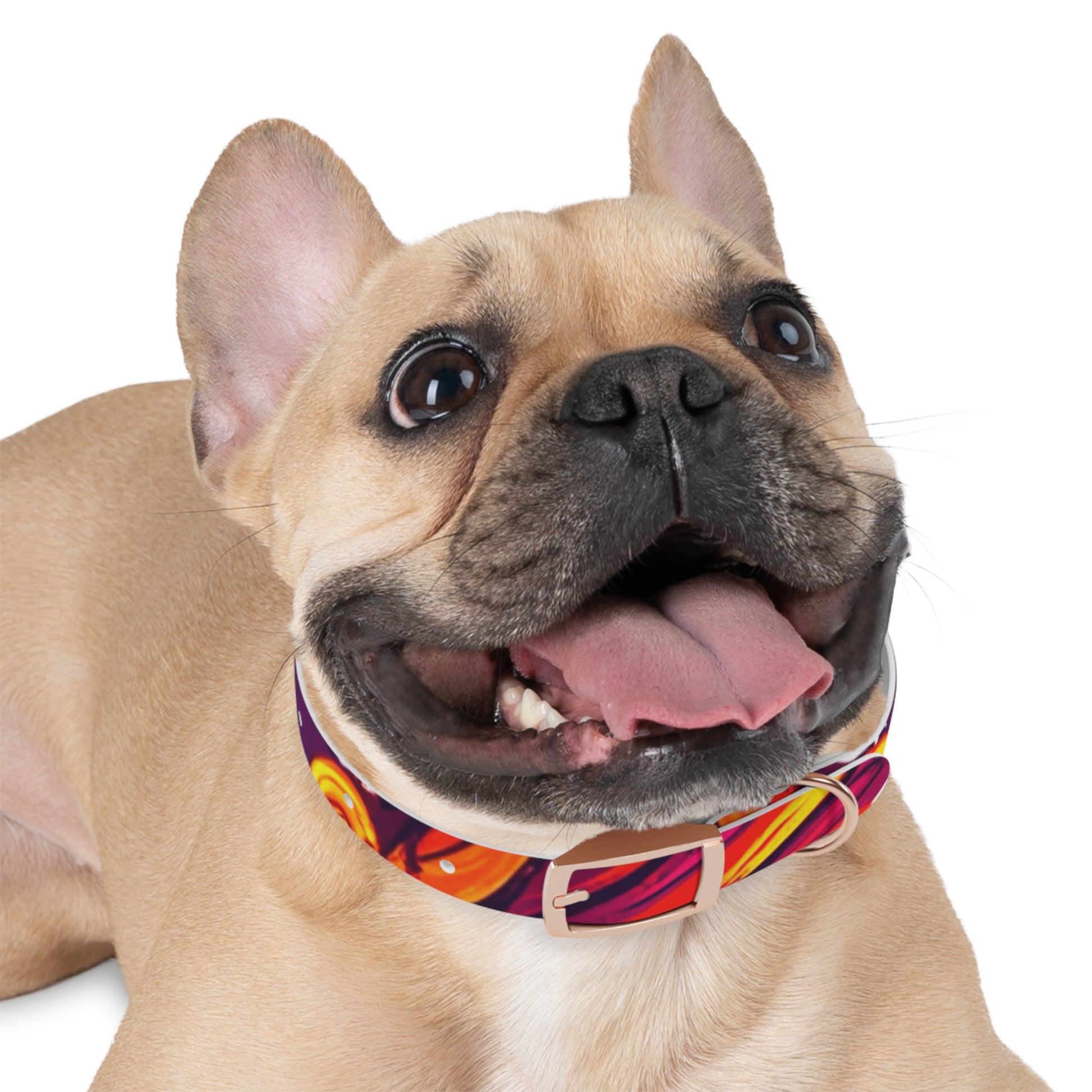Vibrant Abstract Dog Collar, Colorful Pet Accessory for Dogs, Stylish Dog Gear, Fun Pet Collar, Gift for Dog Lovers