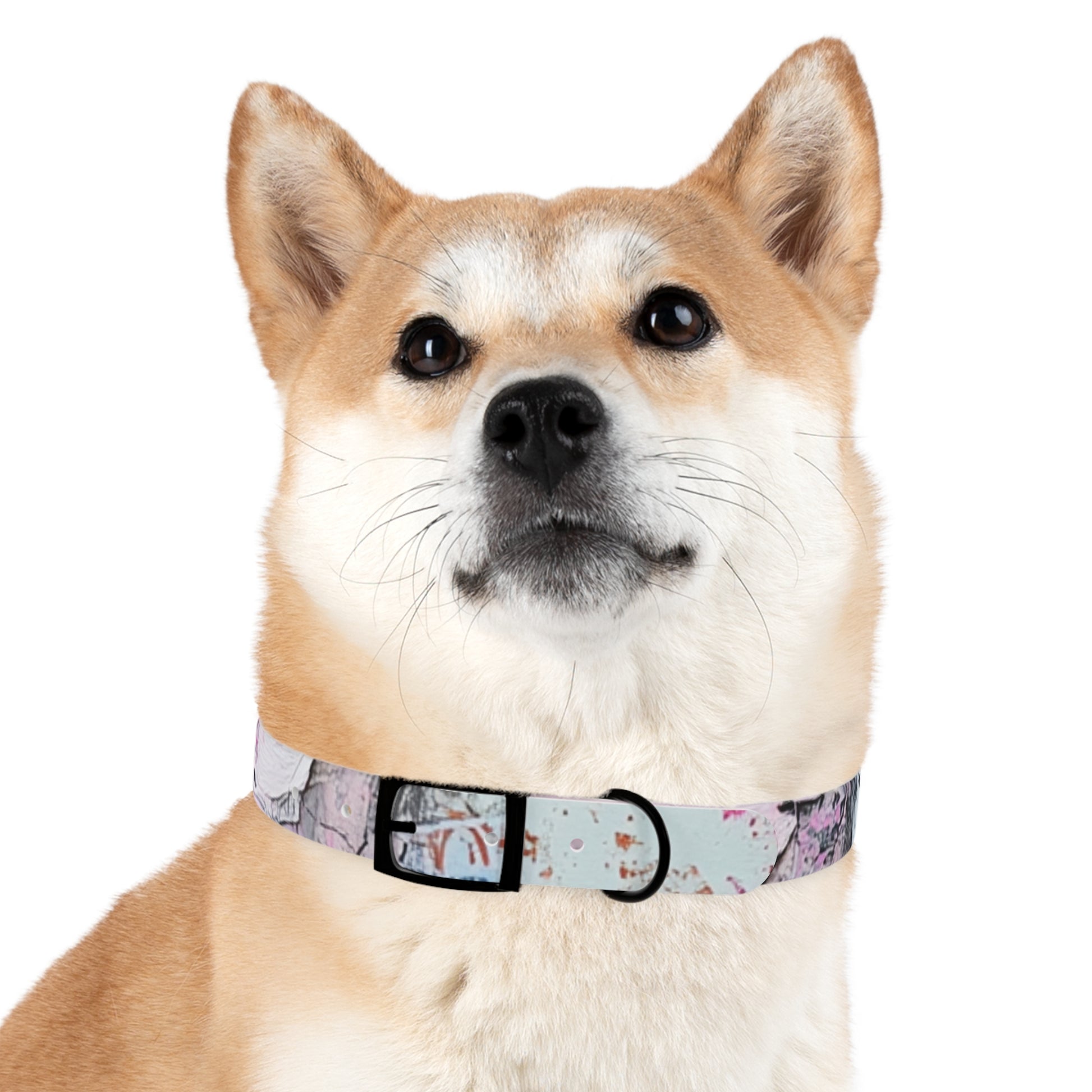 Stylish Dog Collar with Artistic Design, Pet Accessory for Dog Lovers, Customizable Collar for Holidays, Gift for Pets, Unique Pet [...]