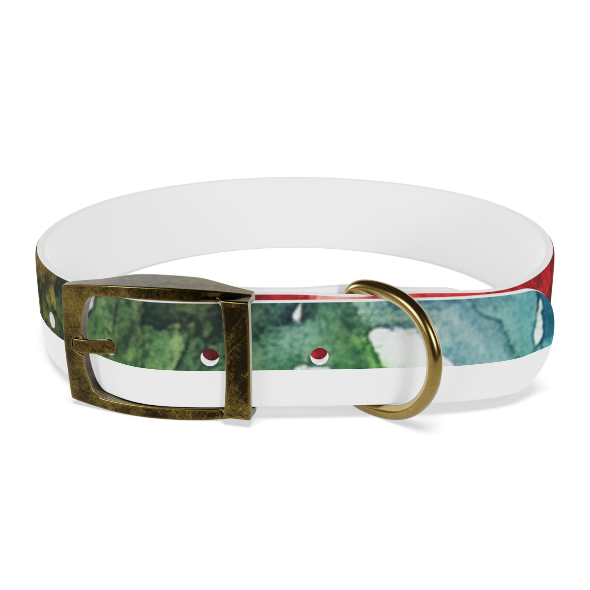 Vibrant Dog Collar for Stylish Pets, Pet Gift, Dog Fashion Accessory, Adjustable Dog Leash, Unique Pet Wear