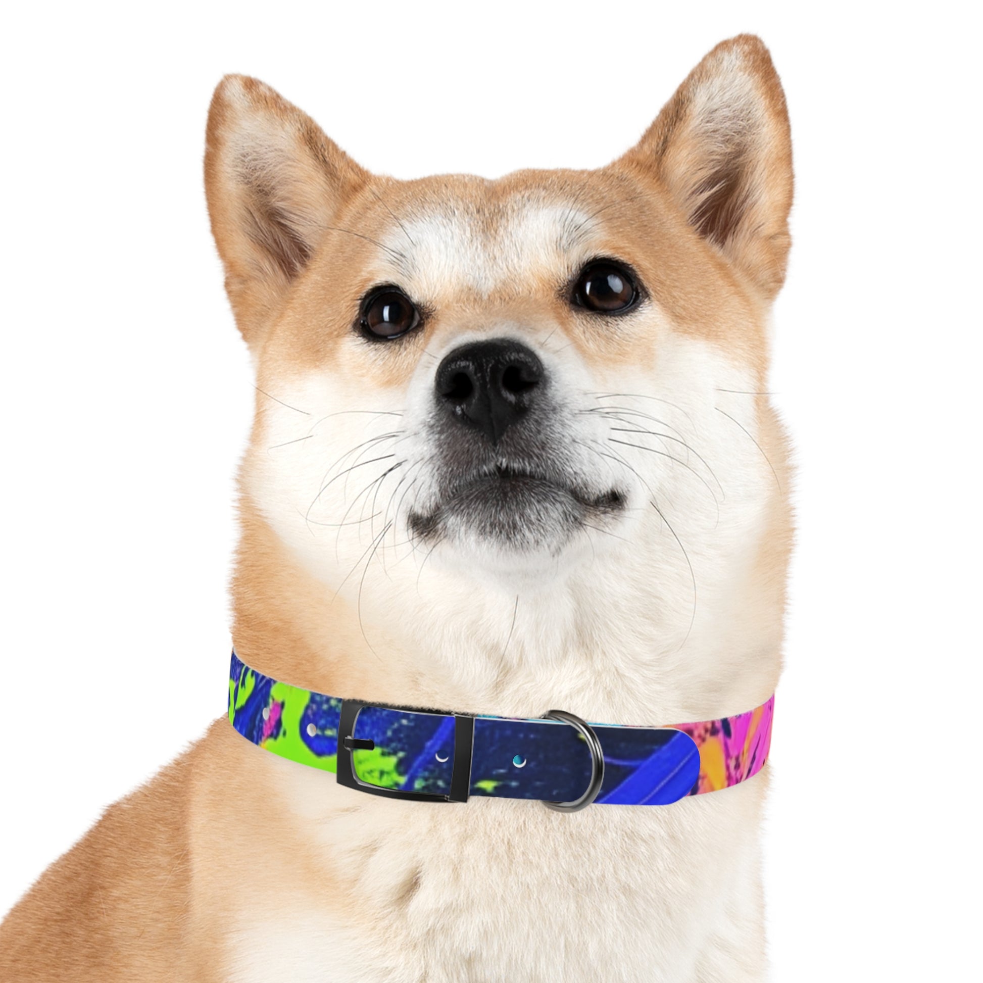Vibrant Dog Collar - Adjustable Pet Accessory, Colorful Pet Collar for Small and Large Dogs, Fun Dog Gear, Unique Dog Gift, Pet Fashion