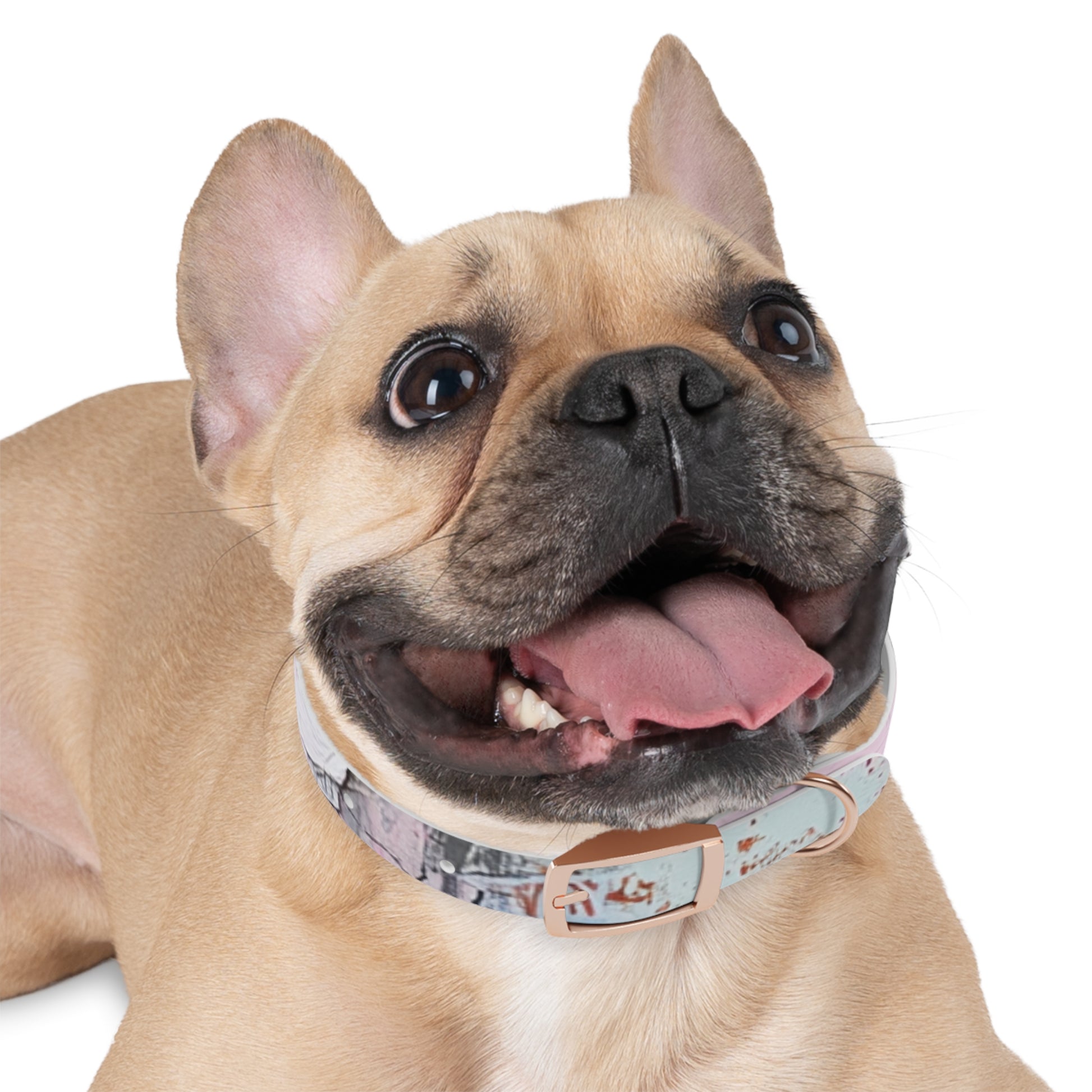 Stylish Dog Collar with Artistic Design, Pet Accessory for Dog Lovers, Customizable Collar for Holidays, Gift for Pets, Unique Pet [...]