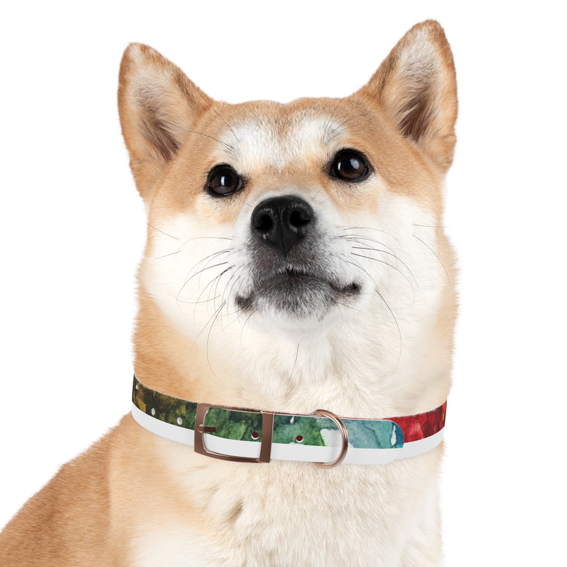 Vibrant Dog Collar for Stylish Pets, Pet Gift, Dog Fashion Accessory, Adjustable Dog Leash, Unique Pet Wear