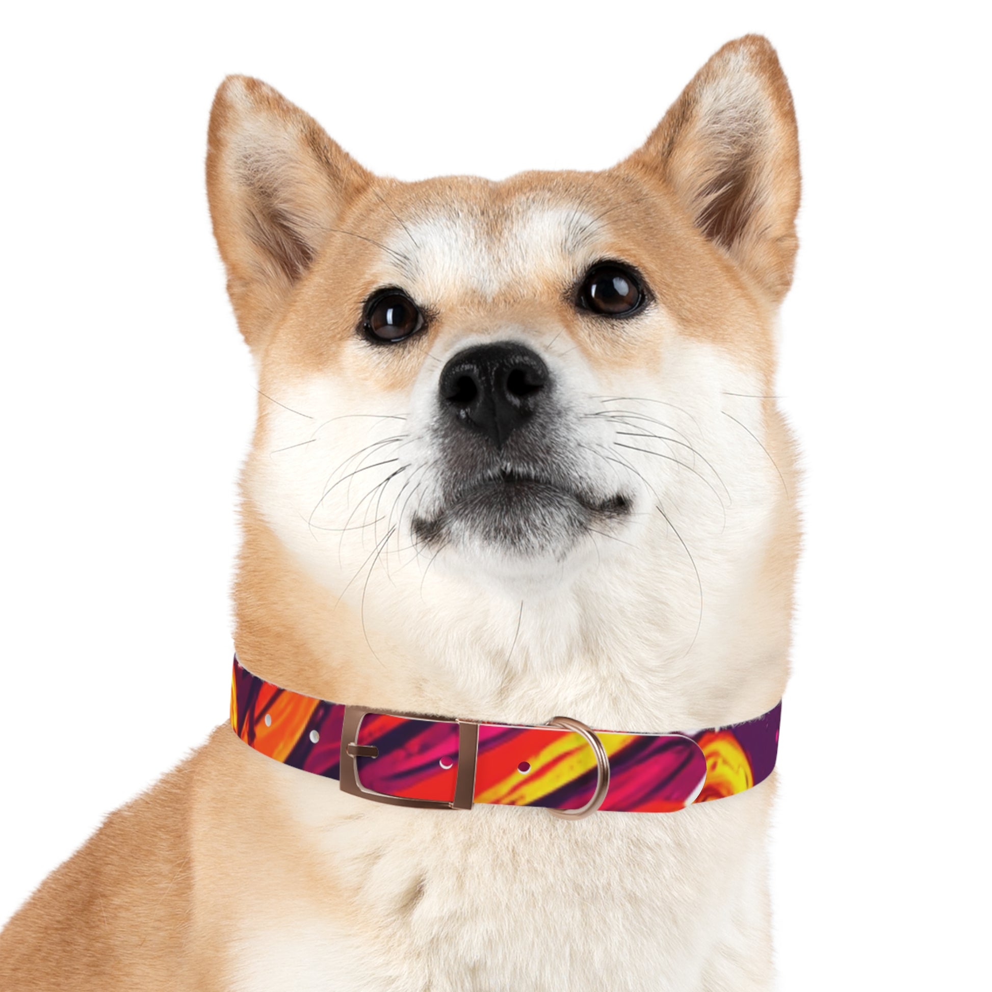Vibrant Abstract Dog Collar, Colorful Pet Accessory for Dogs, Stylish Dog Gear, Fun Pet Collar, Gift for Dog Lovers