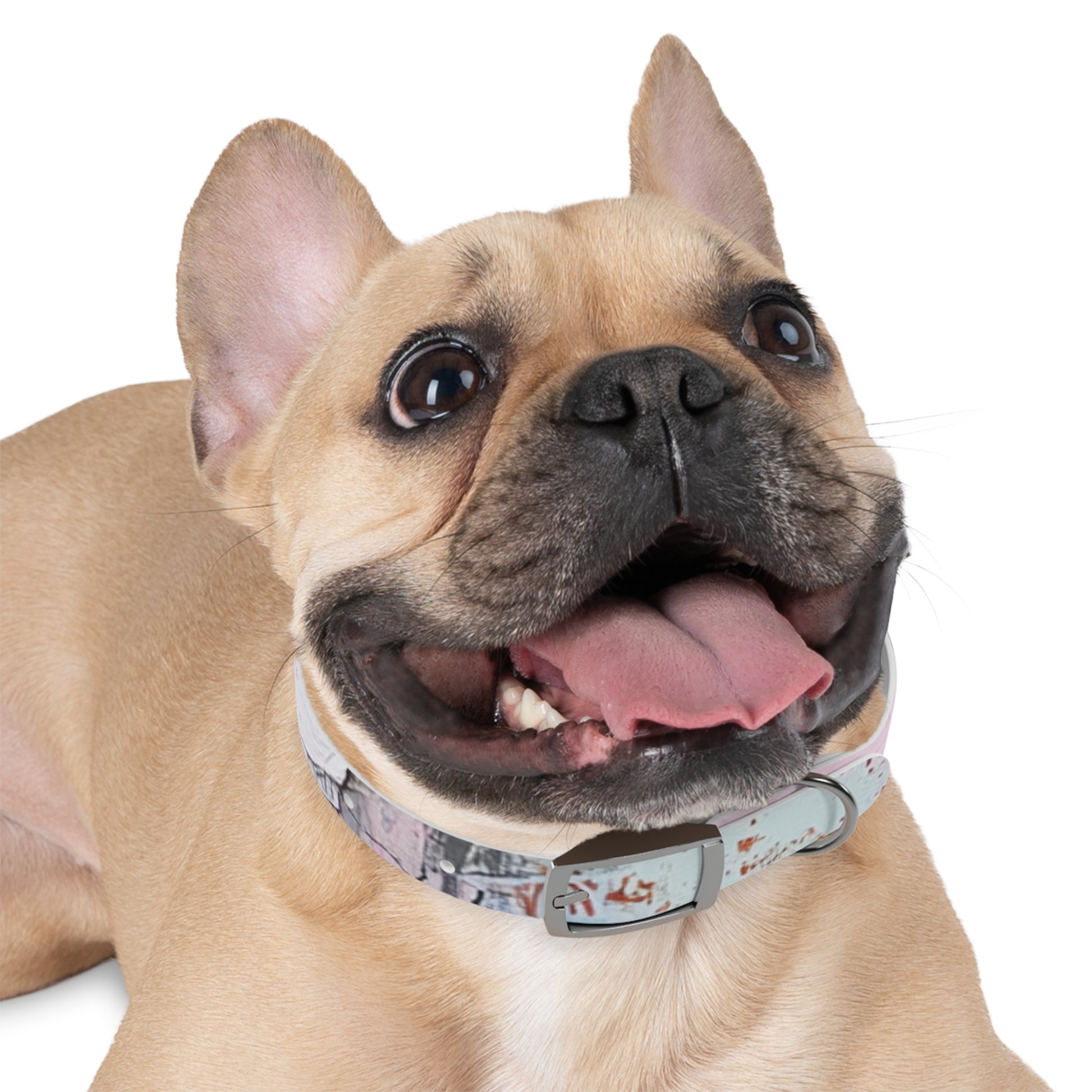 Stylish Dog Collar with Artistic Design, Pet Accessory for Dog Lovers, Customizable Collar for Holidays, Gift for Pets, Unique Pet [...]