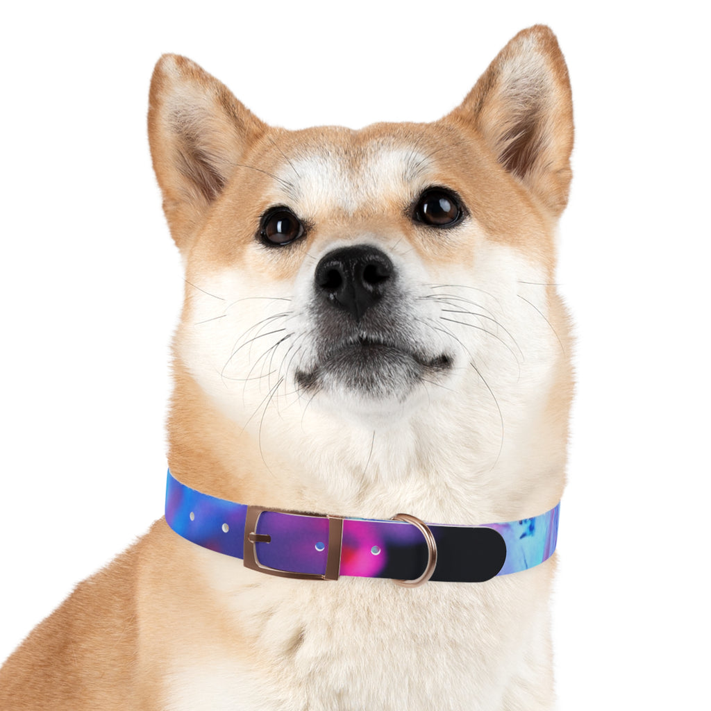 Colorful Artistic Dog Collar, Pet Accessory, Adjustable Collar, Dog Gift, Puppy Fashion, Dog Owner Gift