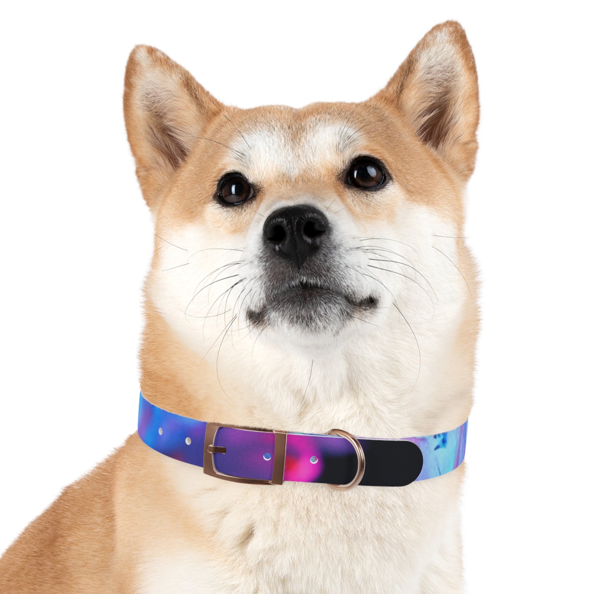 Colorful Artistic Dog Collar, Pet Accessory, Adjustable Collar, Dog Gift, Puppy Fashion, Dog Owner Gift