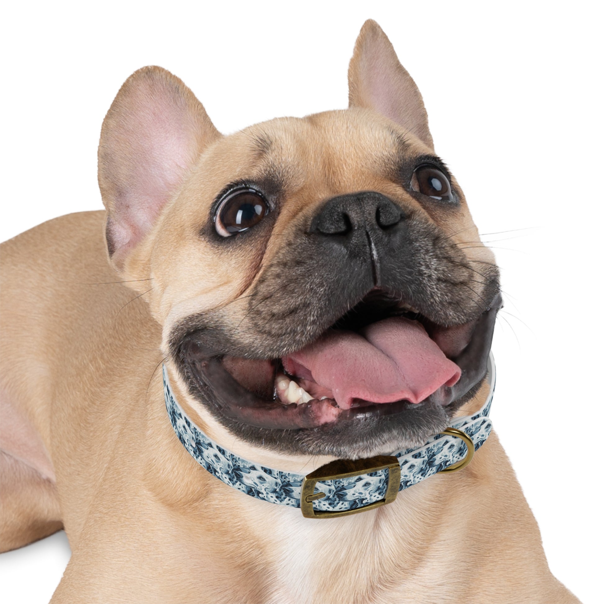 Stylish Dog Collar - Personalized Pet Accessory, Adjustable Pet Collar, Dog Fashion, Gifts for Dog Lovers, Unique Dog Gifts
