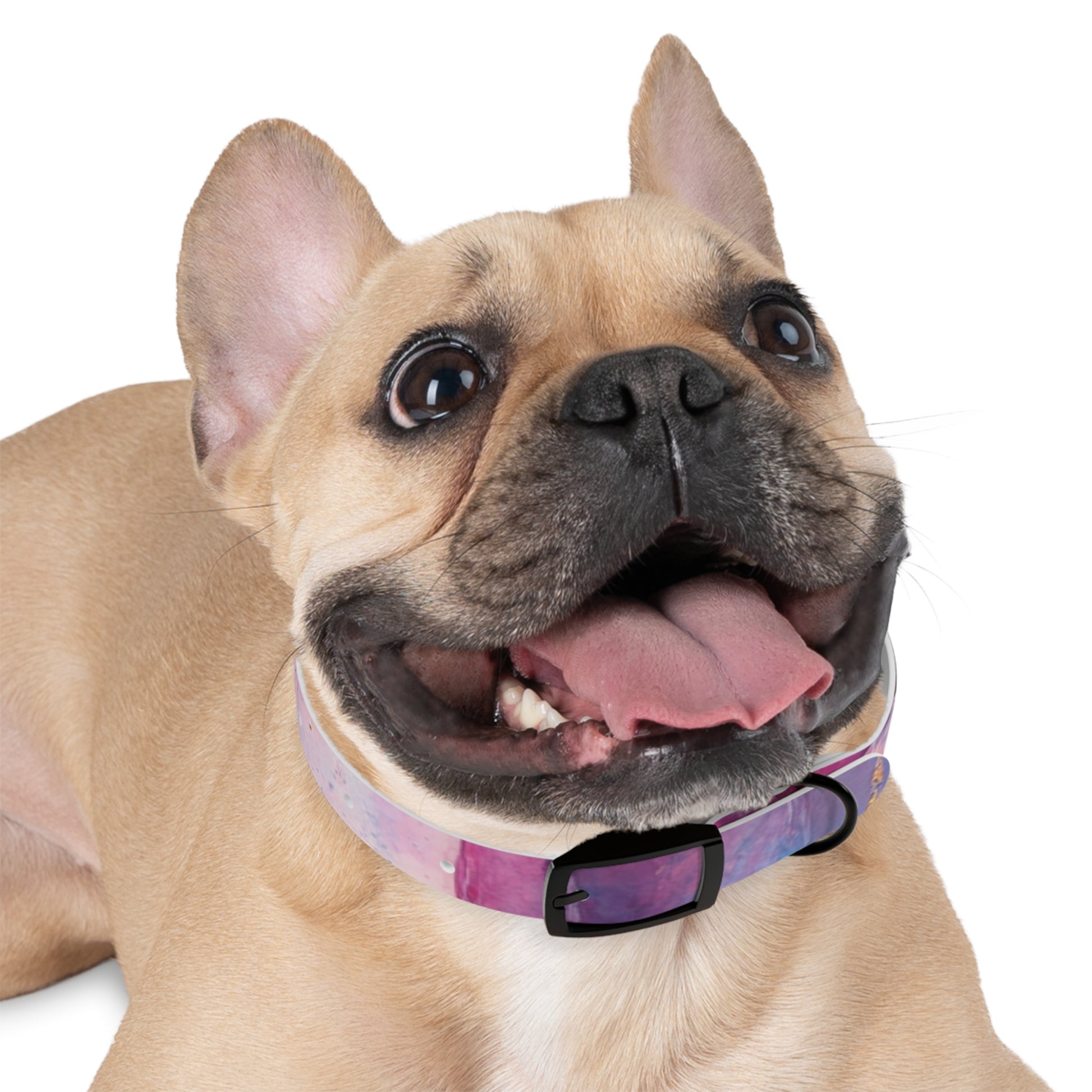 Colorful Cosmic Dog Collar, Stylish Pet Accessory for Dog Lovers, Unique Puppy Gift, Galaxy Print Collar for Special Occasions