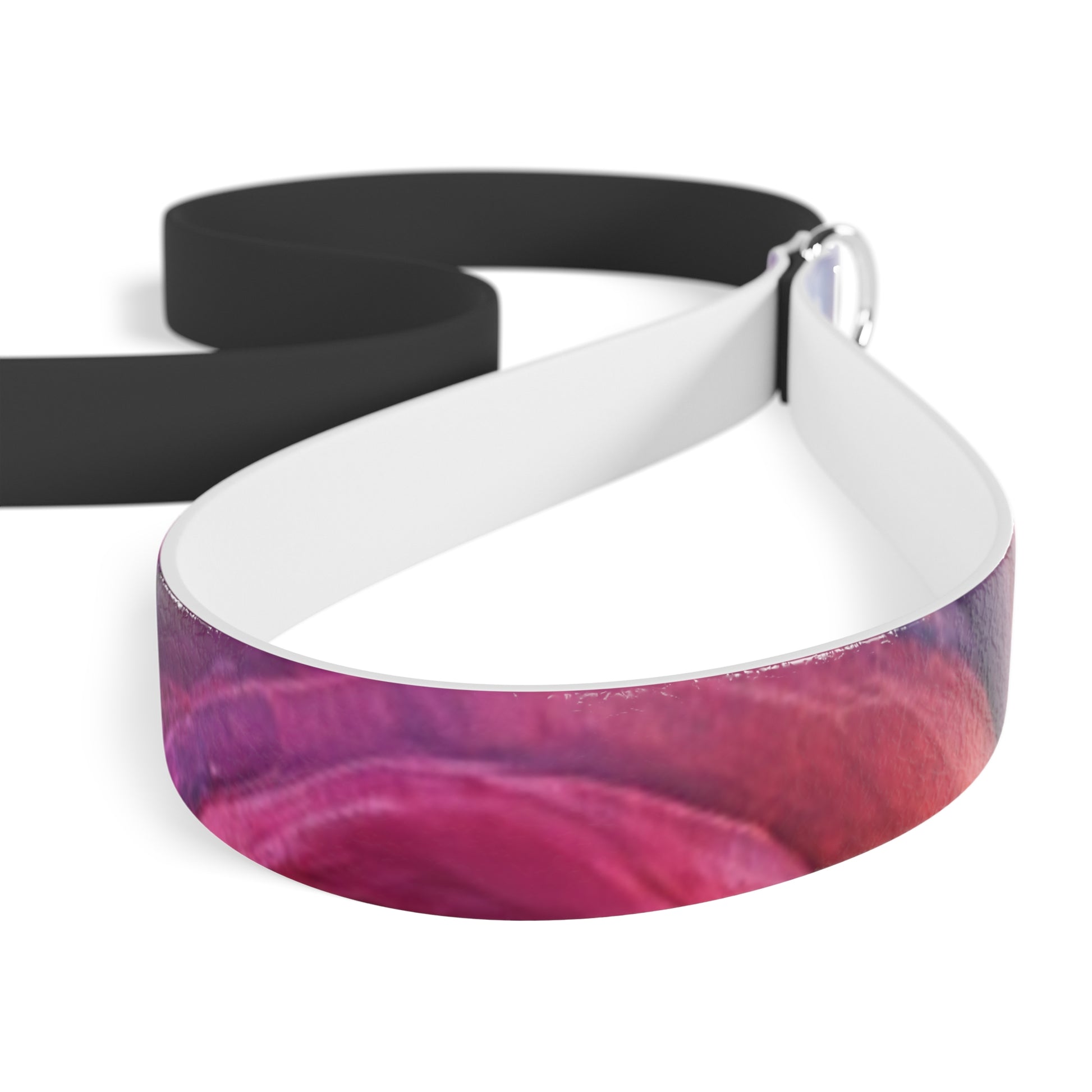 Colorful Pet Leash, Stylish Dog Leash, Adjustable Leash for Dogs, Pet Owner Gift, Fun Leash for Walks