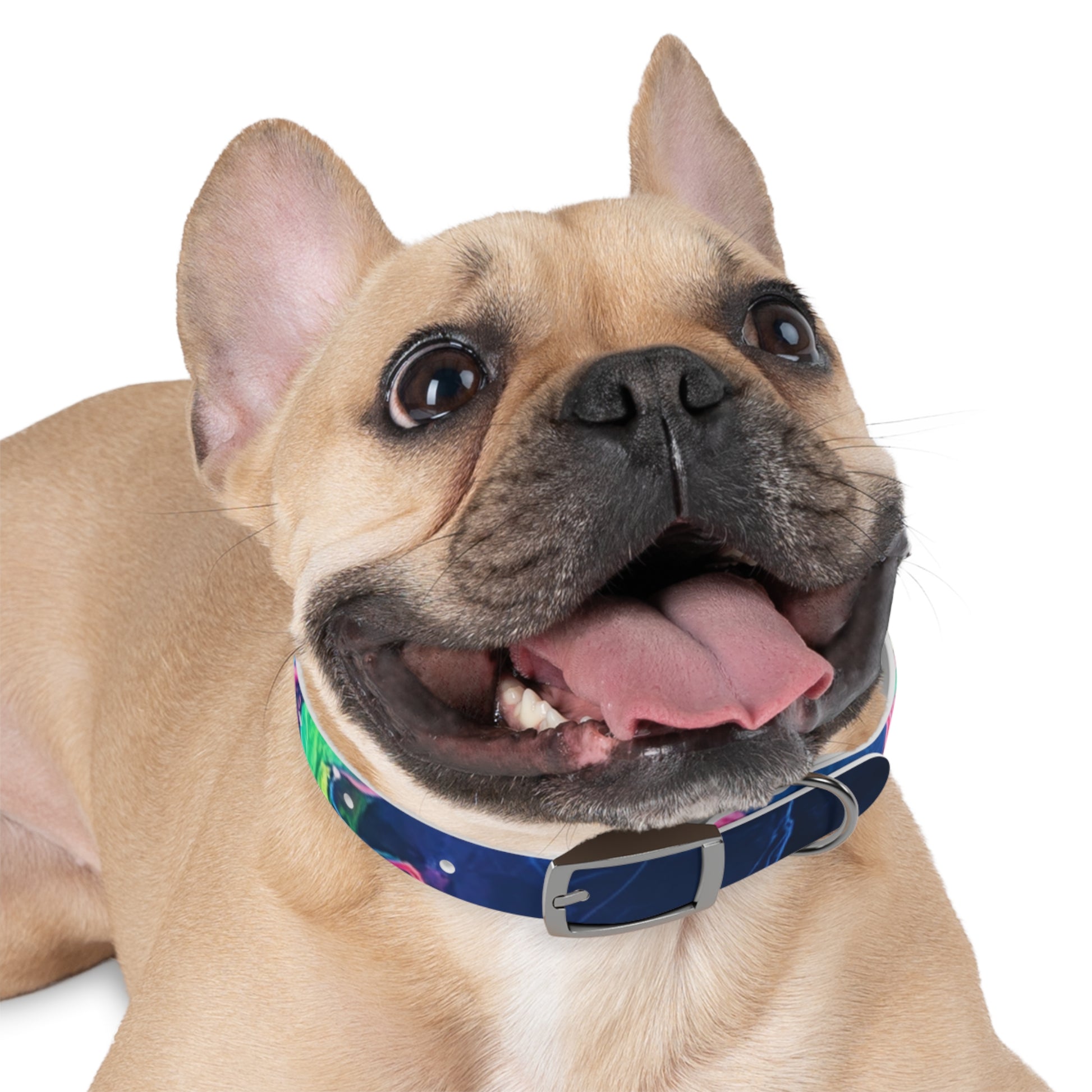 Colorful Dog Collar, Custom Pet Accessories, Eco-Friendly Dog Gear, Dog Lovers Gift, Vibrant Canine Fashion