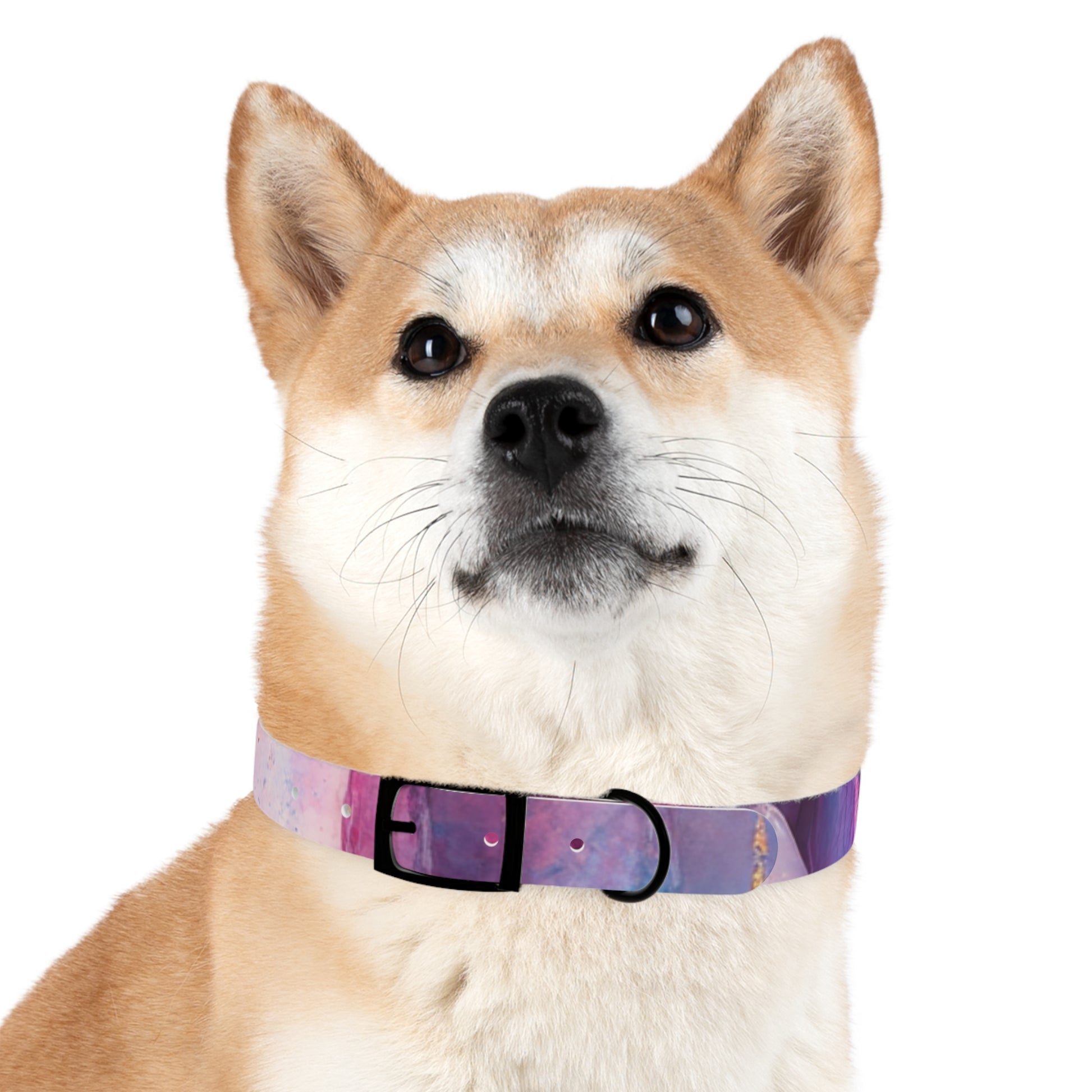 Colorful Cosmic Dog Collar, Stylish Pet Accessory for Dog Lovers, Unique Puppy Gift, Galaxy Print Collar for Special Occasions