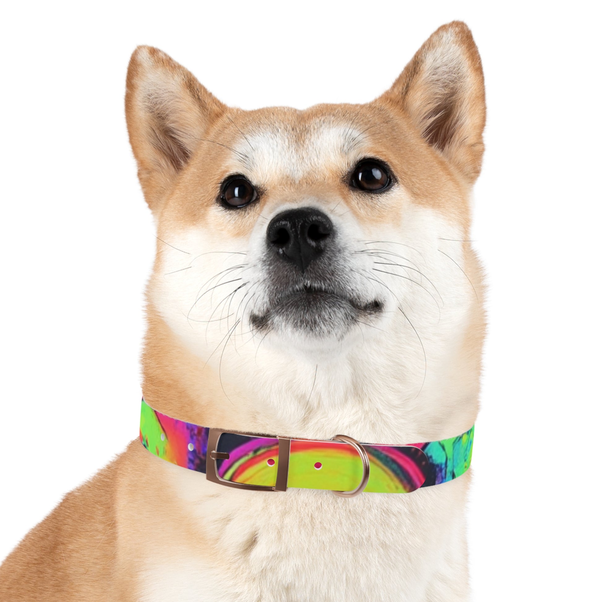 Vibrant Dog Collar, Colorful Pet Accessory for Stylish Dogs, Perfect for Dog Lovers, Gift for Pet Owners, Unique Dog Fashion