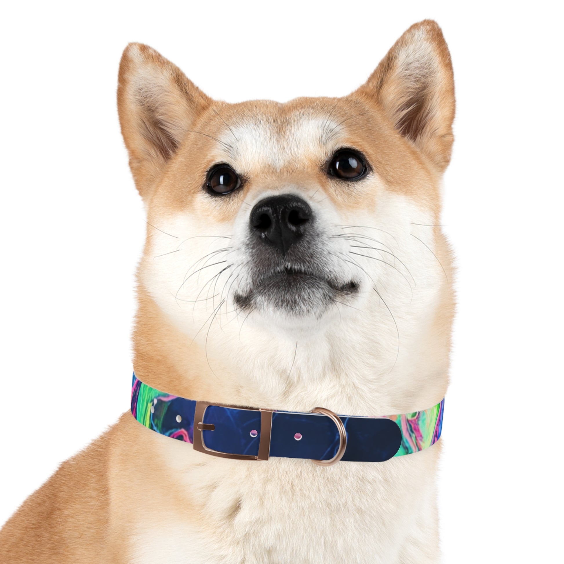 Colorful Dog Collar, Custom Pet Accessories, Eco-Friendly Dog Gear, Dog Lovers Gift, Vibrant Canine Fashion