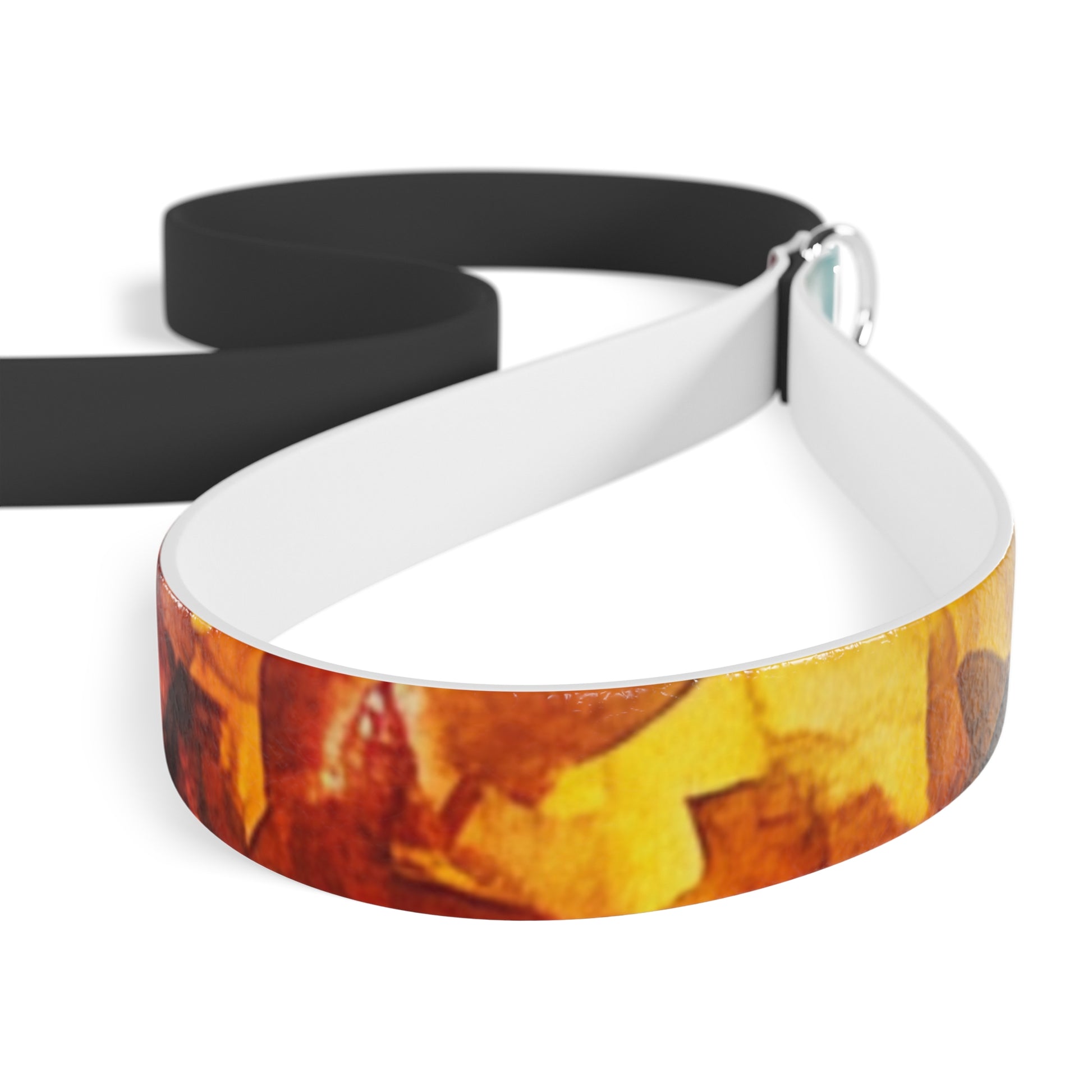 Vibrant Dog Leash - Colorful Pet Accessory, Dog Walking Gear, Outdoor Adventure Essential, Perfect for Dog Lovers, Stylish Pet Supply