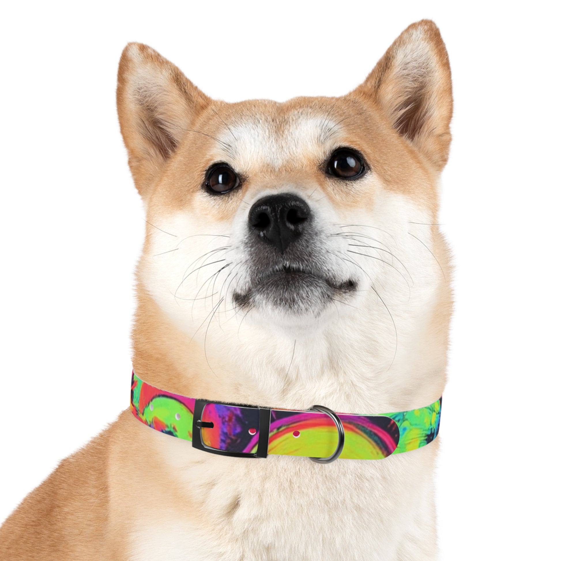 Vibrant Dog Collar, Colorful Pet Accessory for Stylish Dogs, Perfect for Dog Lovers, Gift for Pet Owners, Unique Dog Fashion