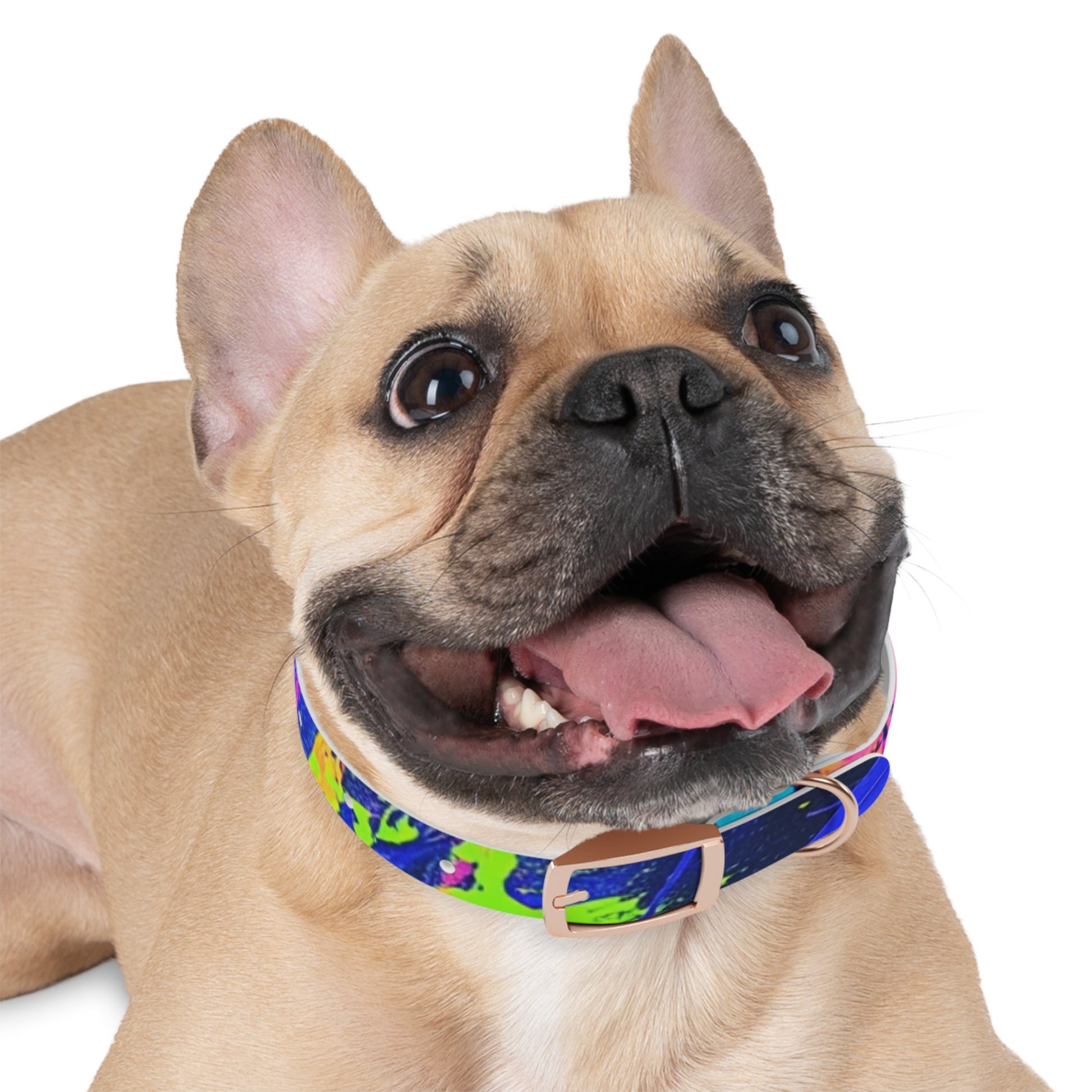 Vibrant Dog Collar - Adjustable Pet Accessory, Colorful Pet Collar for Small and Large Dogs, Fun Dog Gear, Unique Dog Gift, Pet Fashion