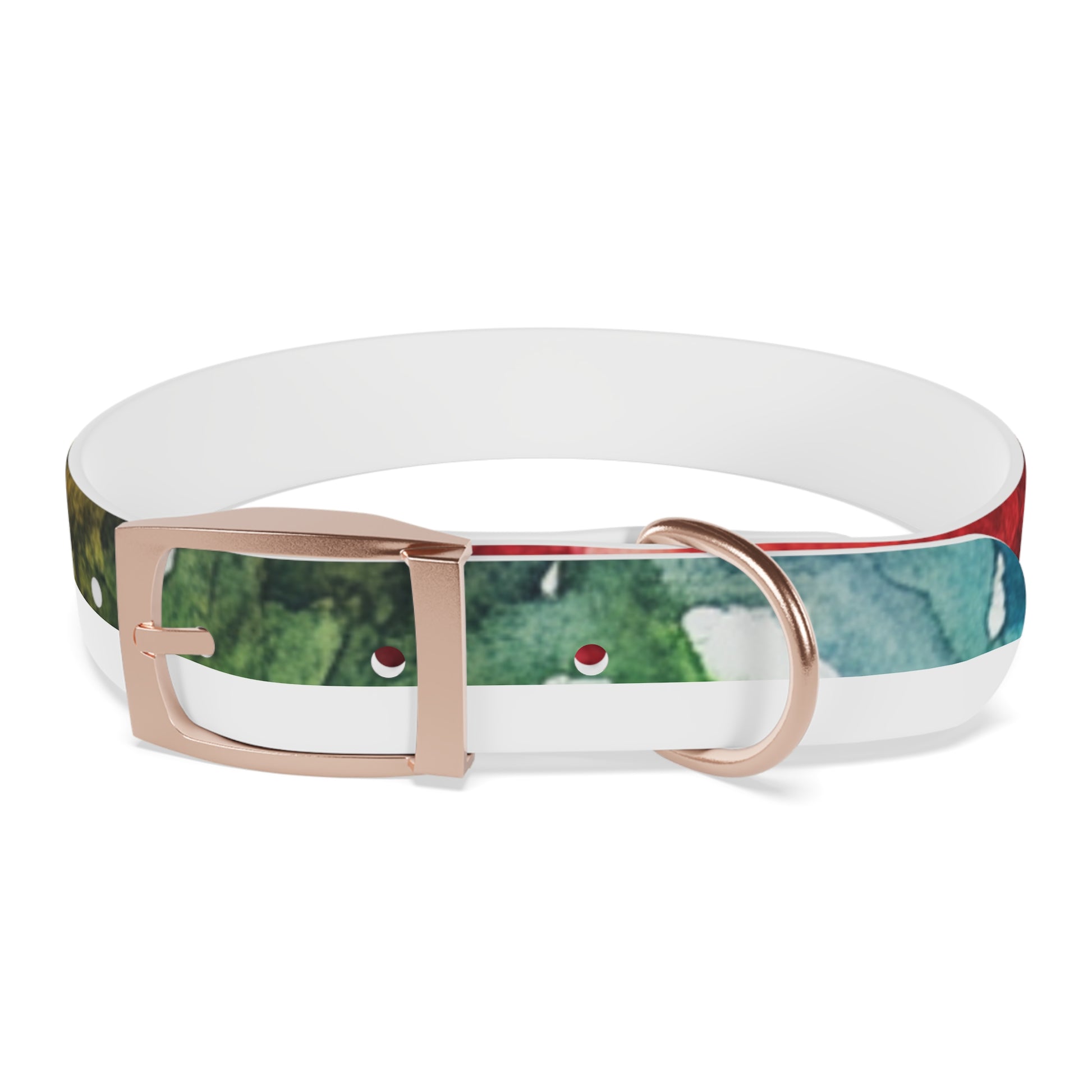 Vibrant Dog Collar for Stylish Pets, Pet Gift, Dog Fashion Accessory, Adjustable Dog Leash, Unique Pet Wear