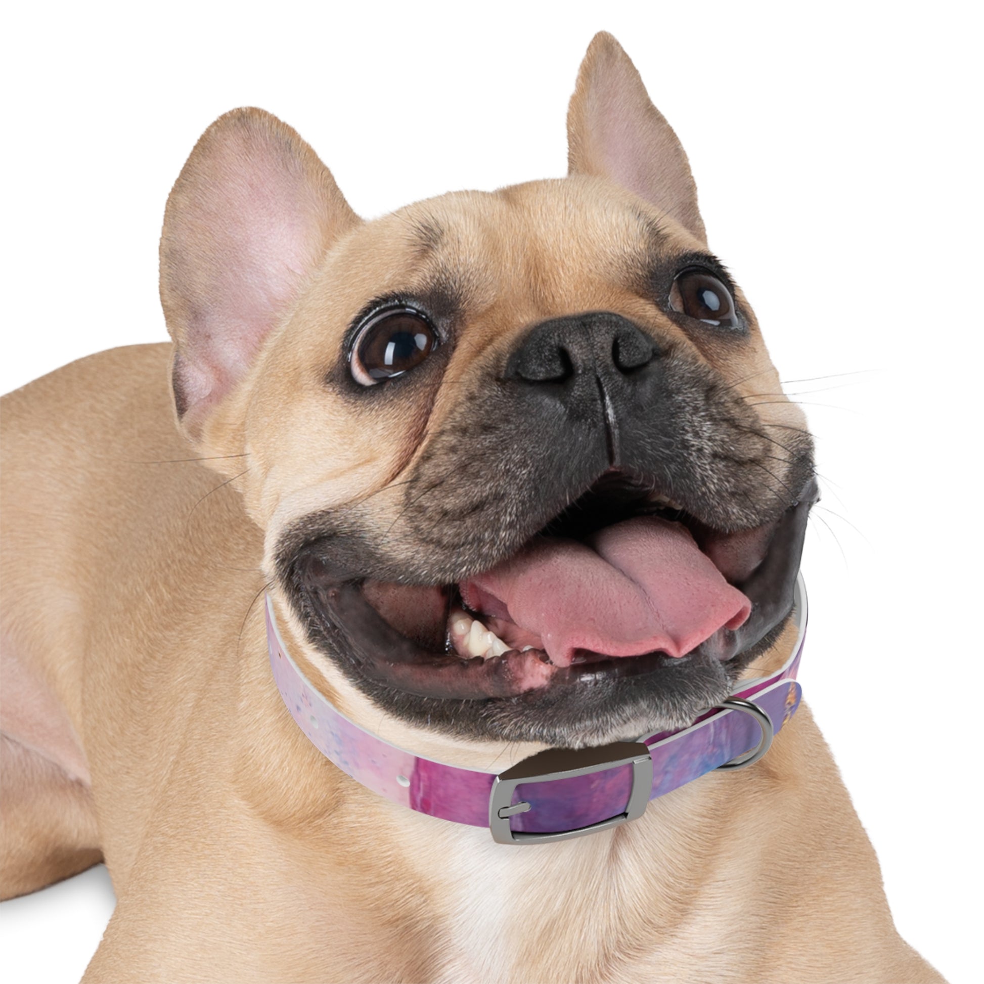 Colorful Cosmic Dog Collar, Stylish Pet Accessory for Dog Lovers, Unique Puppy Gift, Galaxy Print Collar for Special Occasions