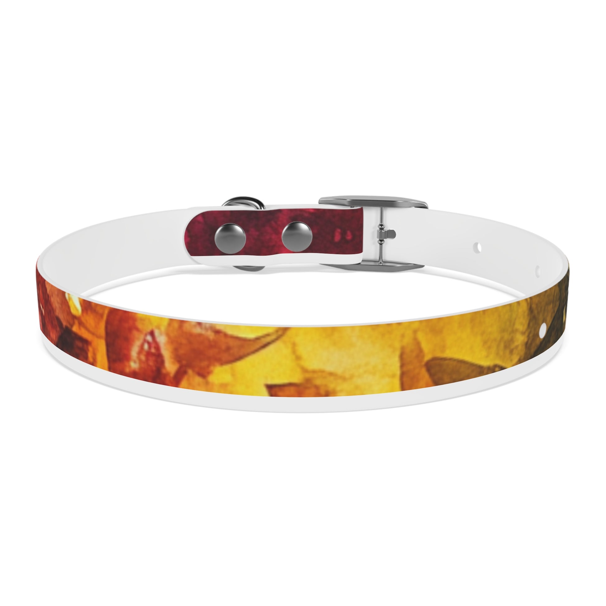 Vibrant Dog Collar for Stylish Pets, Pet Gift, Dog Fashion Accessory, Adjustable Dog Leash, Unique Pet Wear