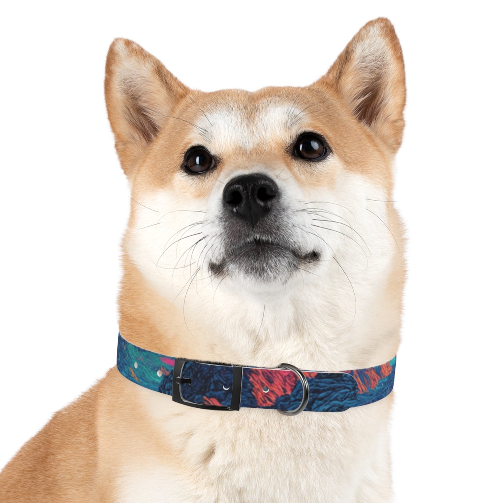 Colorful Dog Collar, Adjustable Pet Accessory, Stylish Dog Leash, Unique Canine Fashion, Trendy Pet Gift, Vibrant Dogwear