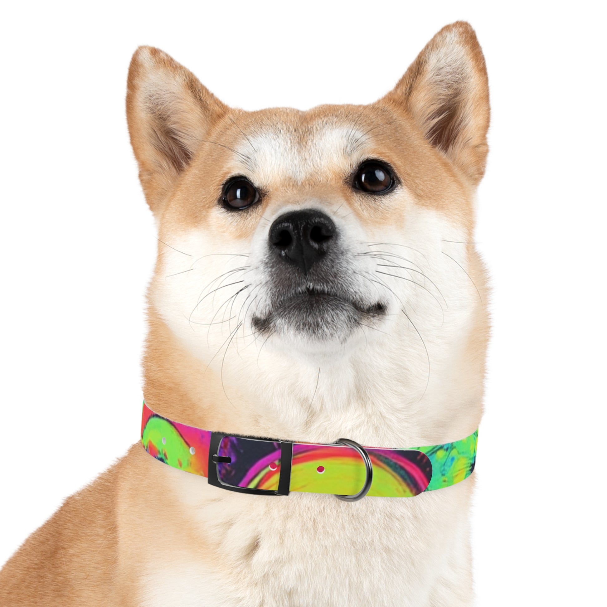 Vibrant Dog Collar, Colorful Pet Accessory for Stylish Dogs, Perfect for Dog Lovers, Gift for Pet Owners, Unique Dog Fashion
