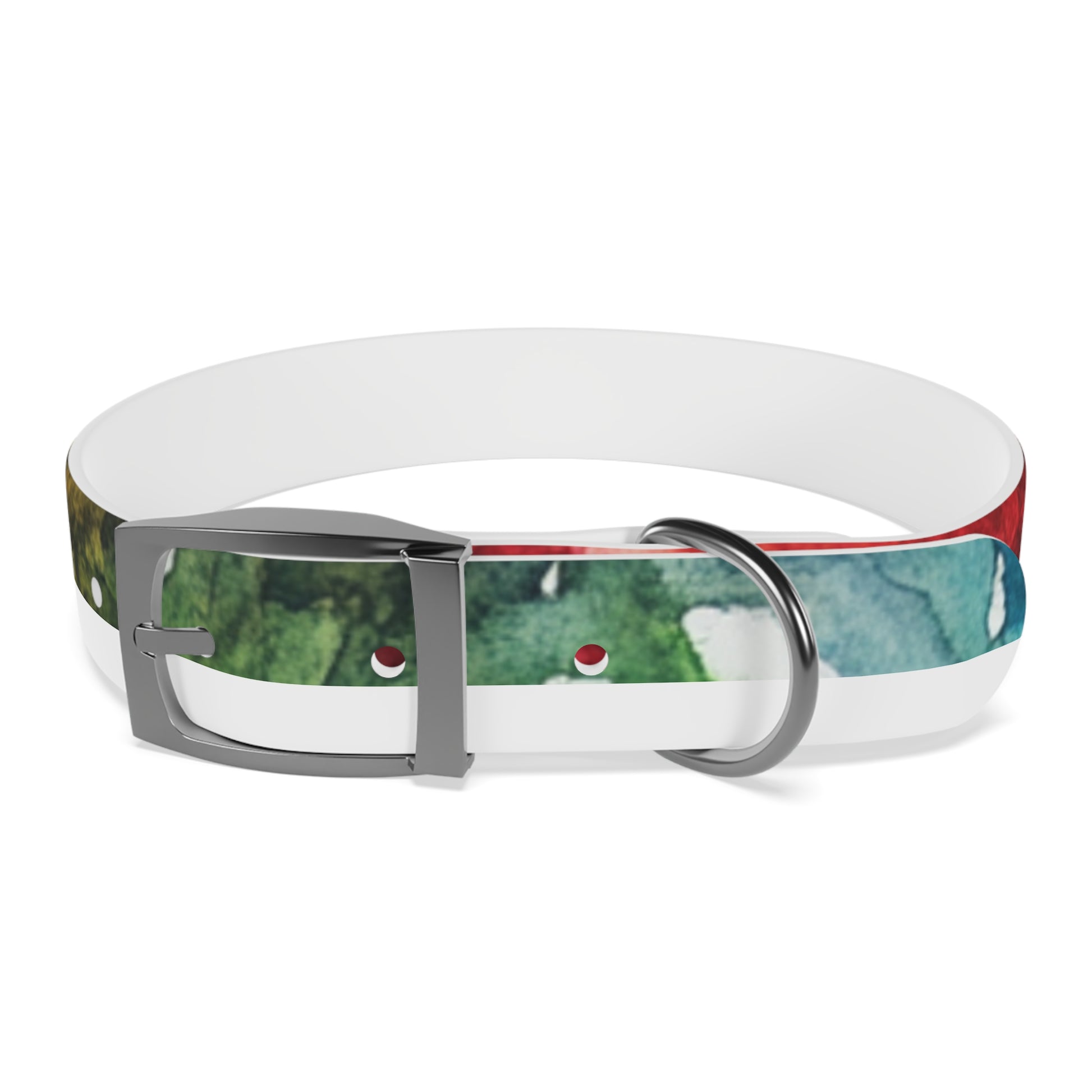 Vibrant Dog Collar for Stylish Pets, Pet Gift, Dog Fashion Accessory, Adjustable Dog Leash, Unique Pet Wear