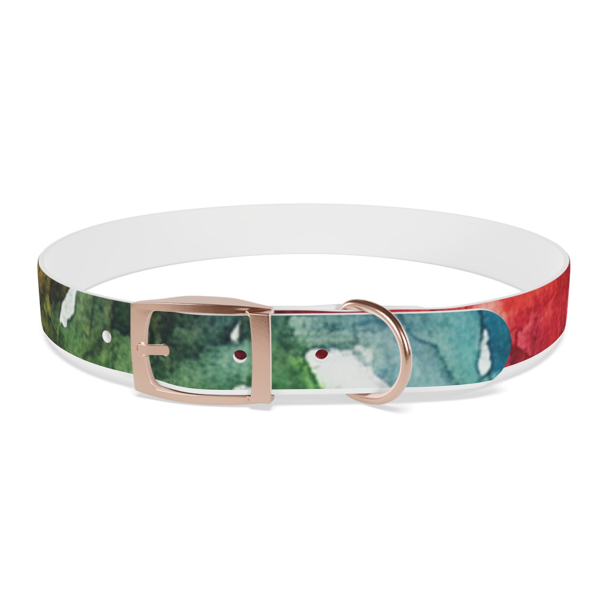 Vibrant Dog Collar for Stylish Pets, Pet Gift, Dog Fashion Accessory, Adjustable Dog Leash, Unique Pet Wear