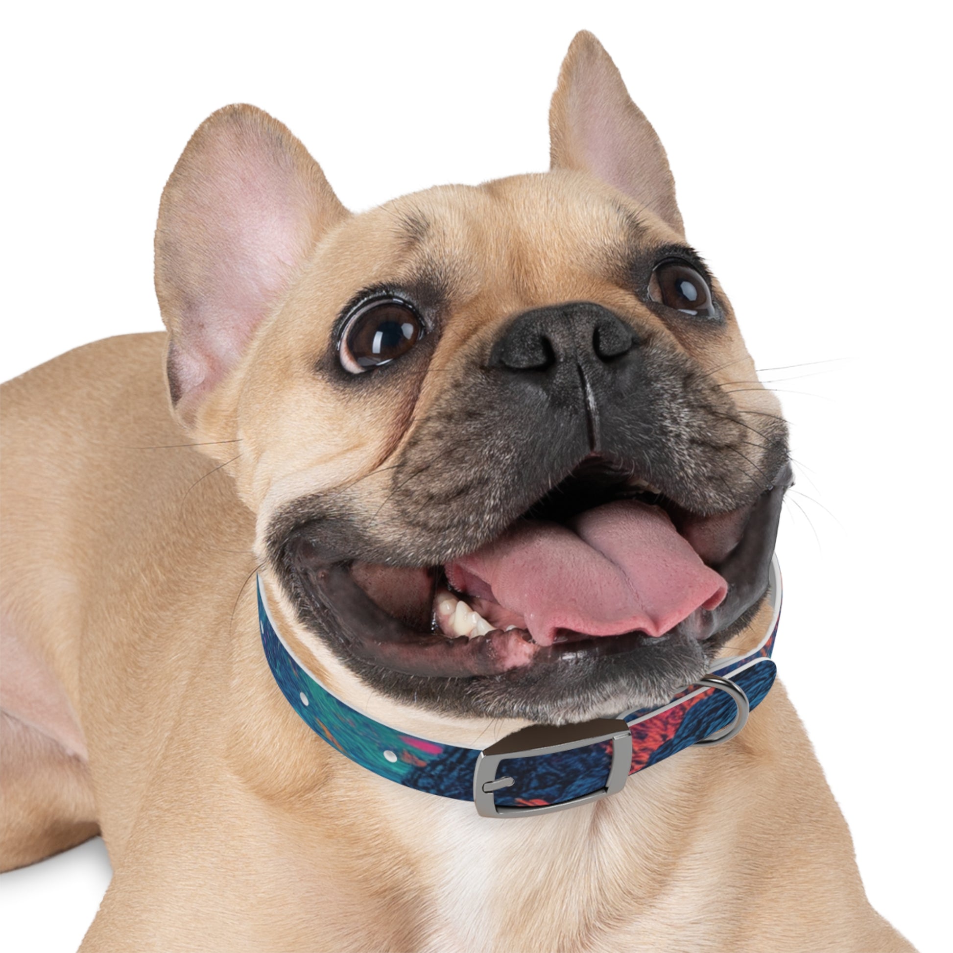 Colorful Dog Collar, Adjustable Pet Accessory, Stylish Dog Leash, Unique Canine Fashion, Trendy Pet Gift, Vibrant Dogwear