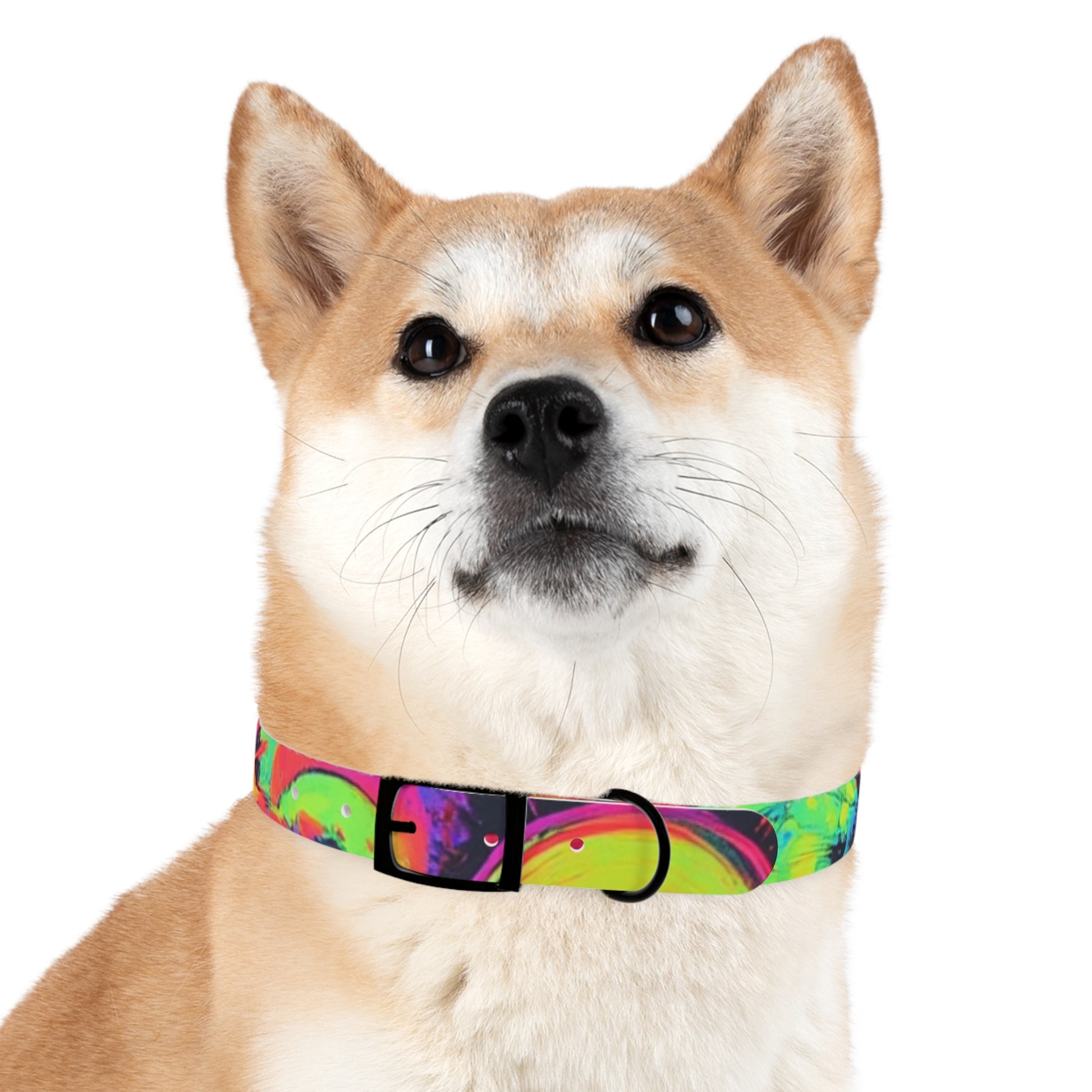 Vibrant Dog Collar, Colorful Pet Accessory for Stylish Dogs, Perfect for Dog Lovers, Gift for Pet Owners, Unique Dog Fashion