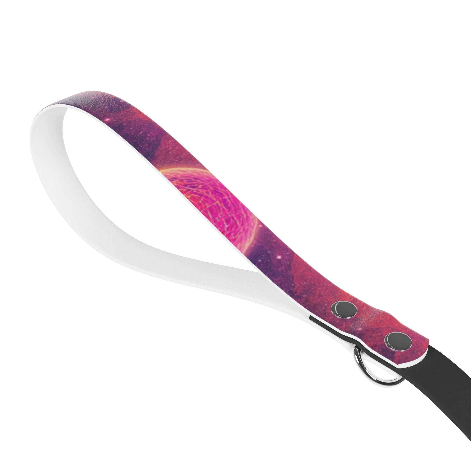 Colorful Pet Leash, Dog Walking Accessory, Custom Pet Gear, Stylish Dog Leash, Unique Leash for Stylish Walks