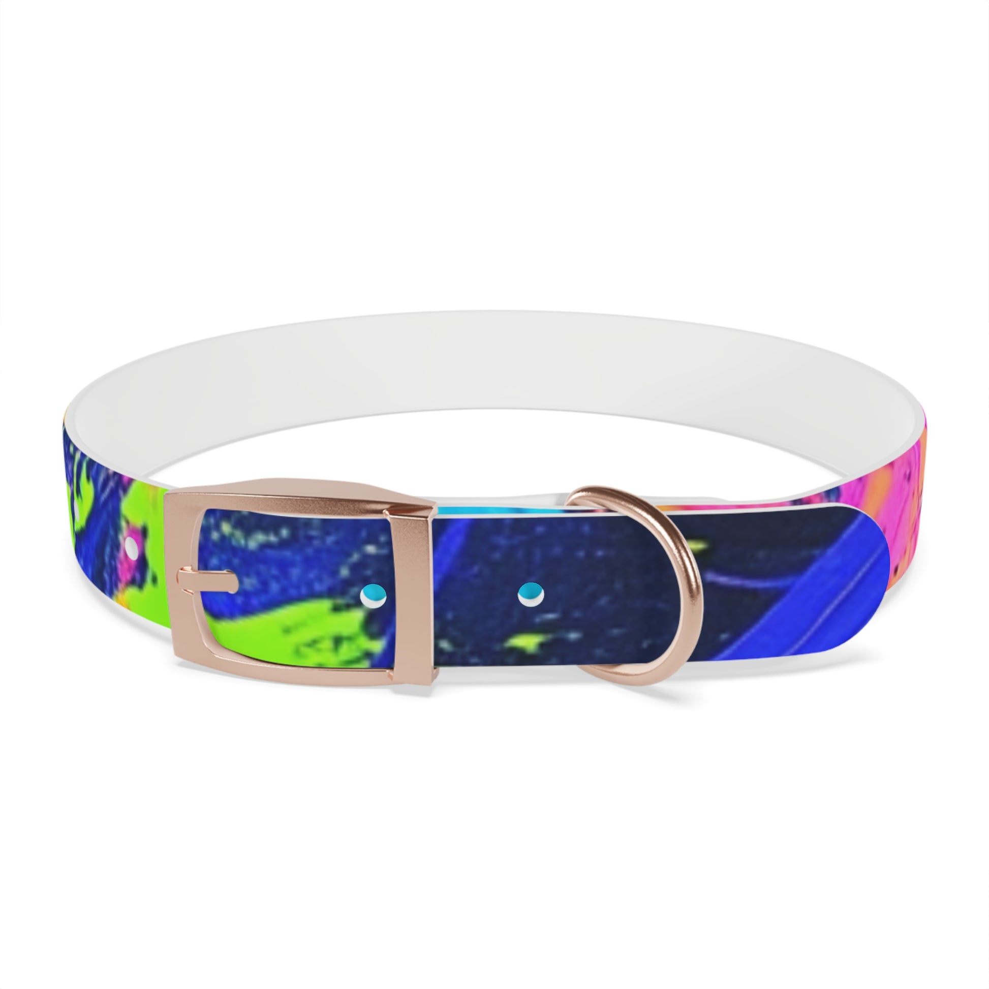 Vibrant Dog Collar - Adjustable Pet Accessory, Colorful Pet Collar for Small and Large Dogs, Fun Dog Gear, Unique Dog Gift, Pet Fashion