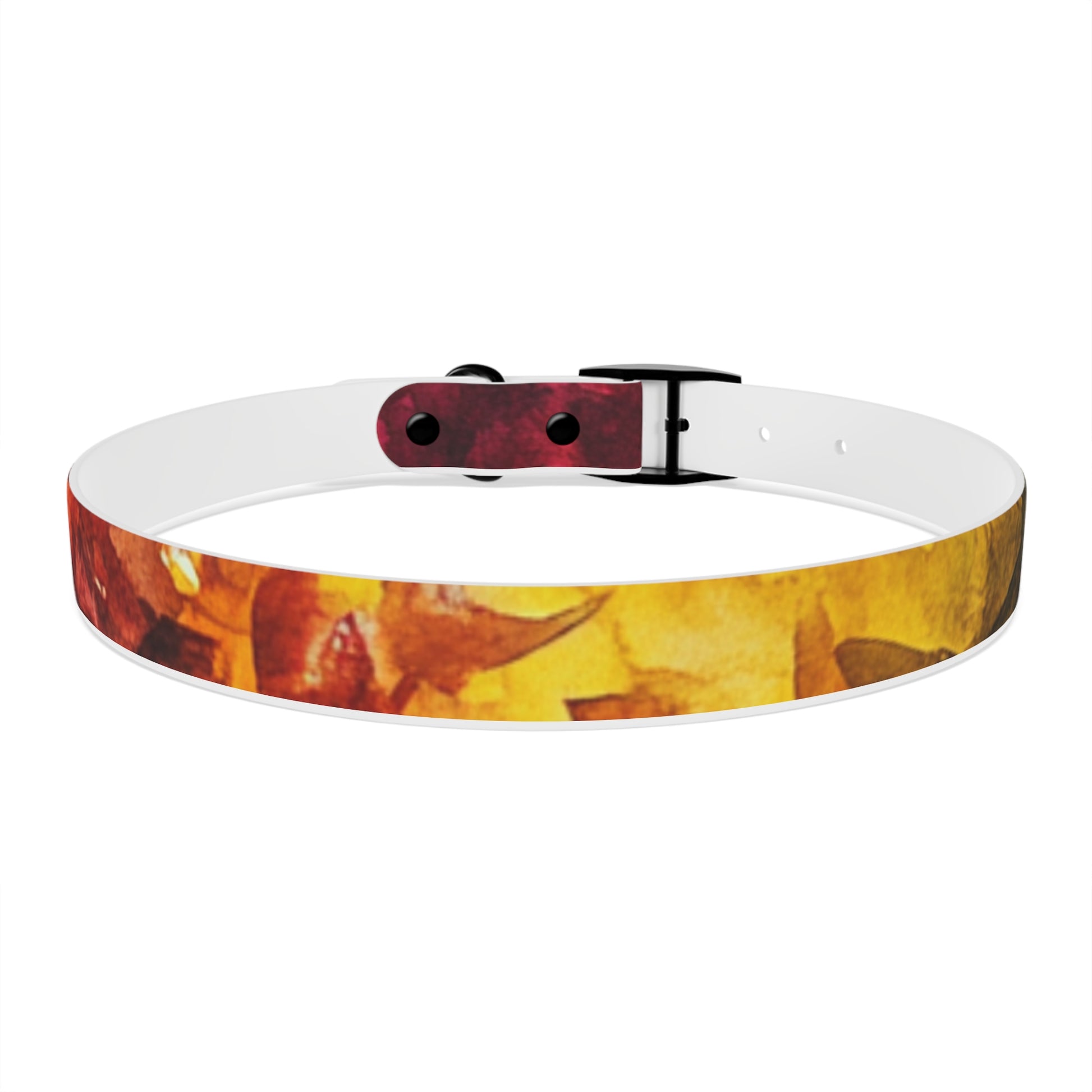Vibrant Dog Collar for Stylish Pets, Pet Gift, Dog Fashion Accessory, Adjustable Dog Leash, Unique Pet Wear