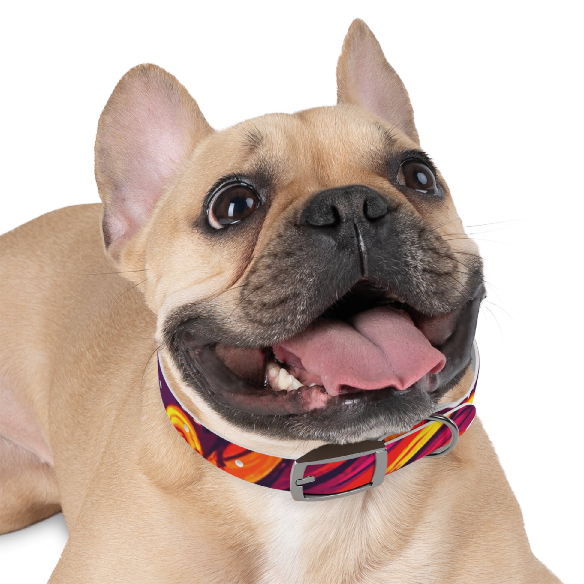 Vibrant Abstract Dog Collar, Colorful Pet Accessory for Dogs, Stylish Dog Gear, Fun Pet Collar, Gift for Dog Lovers